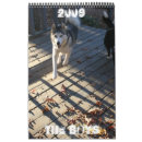 Search for husky calendars Puppies