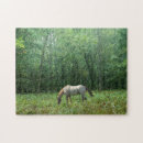 Search for new forest puzzles Landscape