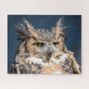 Search for owl puzzles Raptor