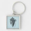 Search for shell key rings Nature