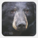 Search for june stickers Animals