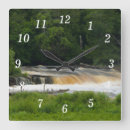 Search for fall clocks Nature