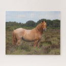 Search for new forest puzzles Horse