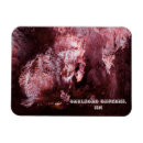 Search for caverns magnets Caves