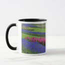 Search for hyacinth mugs Holland