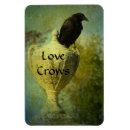 Search for crows magnets Nature