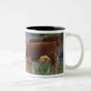 Search for bluebonnet mugs Field
