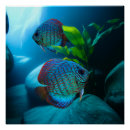 Search for tanks art Aquarium