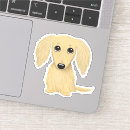Search for dachsund electronics Dachshund