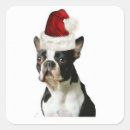 Search for sporting dog stickers Animals