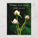Search for rosebuds Botanical