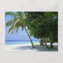 Search for palm tree postcards Hammock