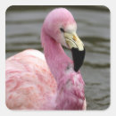 Search for captivity stickers Animal