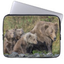Search for refuges cases Animal