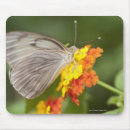 Search for red head mousepads Horizontal