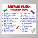 Search for siberian husky art Funny