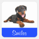 Search for rottweiler stickers Dog