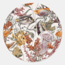 Search for vintage fish stickers Beach