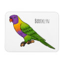 Search for lorikeet parrot magnets Bird