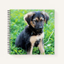 Search for german shepherd notebooks Pet