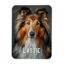 Search for dog rectangular magnets Refrigerator