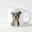 Search for pit bull terrier mugs Cute dog