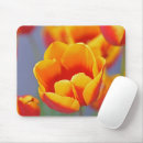 Search for tulip photos mousepads Tulips