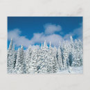 Search for steamboat postcards Snow
