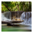 Search for erawan posters Waterfall