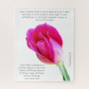 Search for single white rose Floral