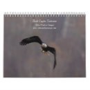 Search for bald eagle calendars Nature