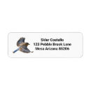 Search for eastern bluebird return address labels Wild birds