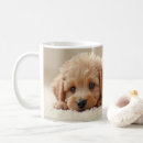 Search for fluffy puppy mugs Poodle