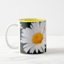 Search for painted daisies mugs White