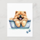 Search for chow puppy postcards Watercolor