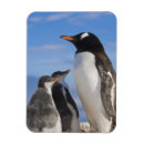 Search for habitat magnets Wildlife