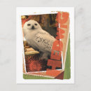 Search for hedwig postcards Hogwarts inspired design