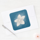 Search for light background stickers White