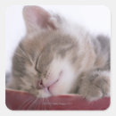 Search for head shot stickers Animal body part