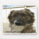Search for rescues mousepads Dogs