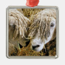 Search for sheep christmas tree decorations Cute