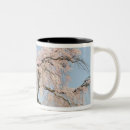 Search for japan blossom mugs Kyoto