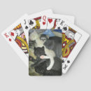 Search for furry playing cards Kitten