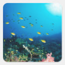 Search for sun fish stickers Animal