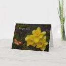 Search for daffodils mothers day cards Floral