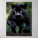 Search for exotic cats posters Animal