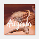 Search for antelope canyon magnets Desert