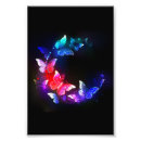 Search for photo posters Black