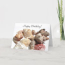 Search for seashell photography cards Seashells