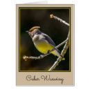 Search for wing note cards Yellow